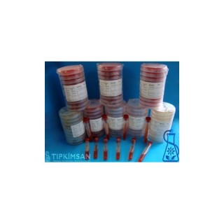 Hemokültür Besiyeri (Bifazik)(Yetişkinler içli)(Anaerob) 1 Adet 60 ml. Şişe