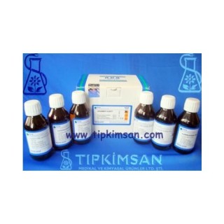 GRAM BOYAMA SETİ -100 ml.